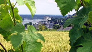 France: Loire de Blois to Saumur