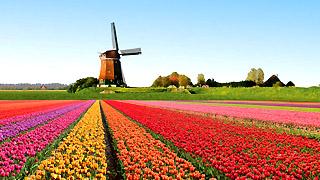 Holland: South of Amsterdam